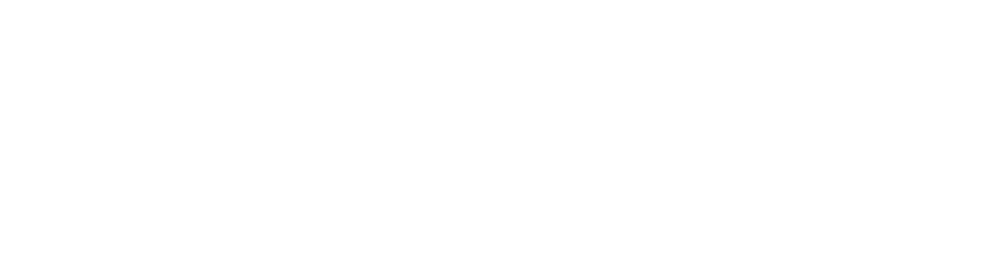 Access logo 300dpi rgb white
